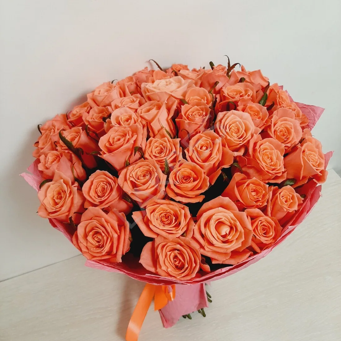 Букет из 51 коралловой розы