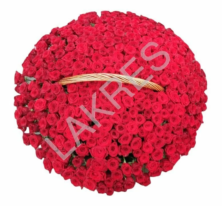 Корзина из 201 красной розы