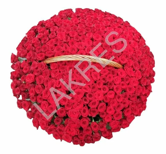 Корзина из 201 красной розы